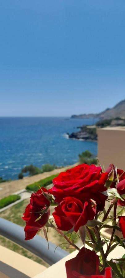 Creta Spirit Appartement